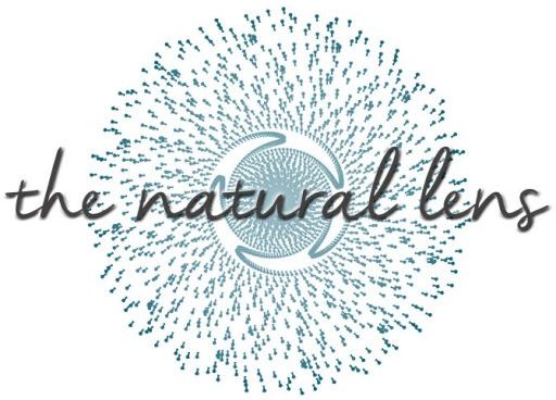 The Natural Lens